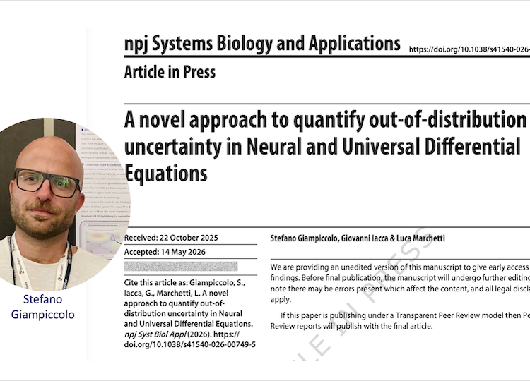 Stefano Giampiccolo's new publication