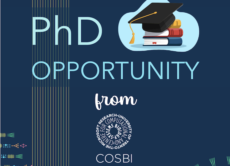 PhD opportunity